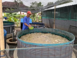 Lapas Kelas IIA Purwokerto Wujudkan Ketahanan Pangan Melalui Budidaya Ikan