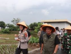 Kapolres Majalengka Bersama Bupati Hadiri Penanaman Jagung Serentak Kuartal I Tahun 2026