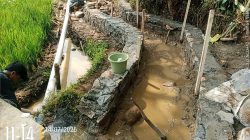 Proyek P3A Desa Tugu Jaya Diduga  Menyalahi Aturan Keterangan Informasi Publik Pada Masyarakat 