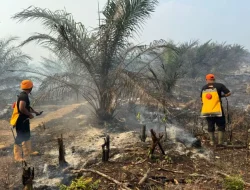 Brimob Polda Jambi Gerak Cepat Padamkan Karhutla di Kabupaten Tebo