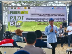 Bertahan Hadapi El Nino dan Lahan Salin, BRIN-PGN-Pemkab Batang Panen Raya 166,5 Ton Padi Biosalin