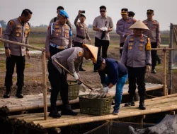 Dukung Rantai Pasok SPPG, Polda Metro Jaya Panen Raya di Muara Gembong