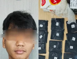 Satresnarkoba Polres Metro Tangerang Kota Ungkap Peredaran MDMB-4en-PINACA, 76,35 Gram Diamankan