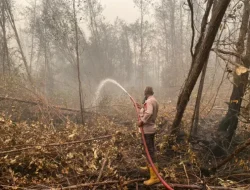 Satgas Karhutla Satbrimob Polda Kalteng Terus Lakukan Pembasahan di Tanjung Taruna