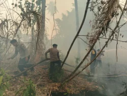 Brimob Malut Respons Cepat, Bersinergi Padamkan Kebakaran Lahan di Desa Tewil